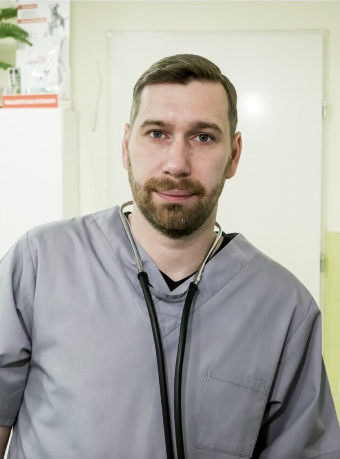Konstantin Michailov  Ветеринарный врач, терапевт